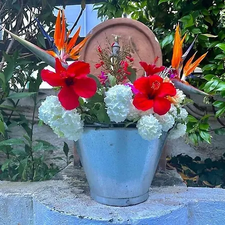 Casa de Férias Silent Garden