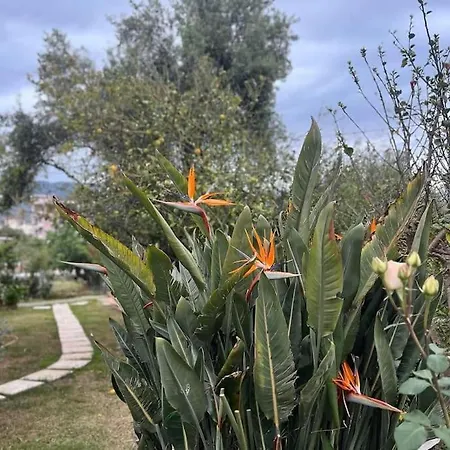 Silent Garden Καλαμάτα